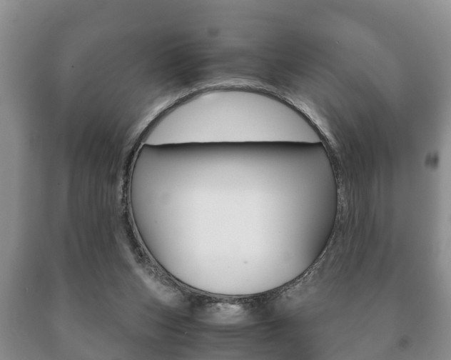 X0000091060159200708061008