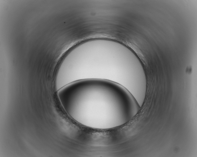 X0000091060160200708061008