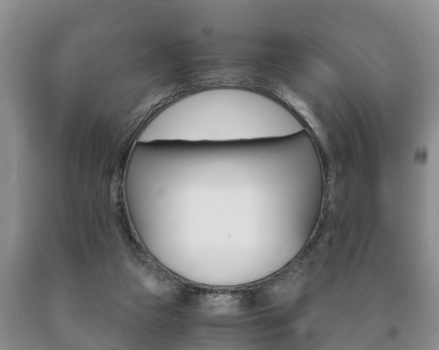 X0000091060161200708061008