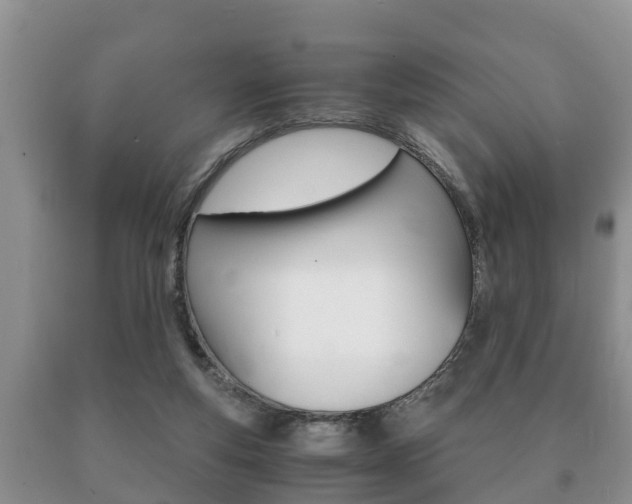 X0000091060163200708061008