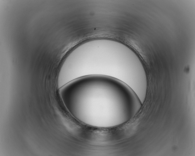 X0000091060164200708061008