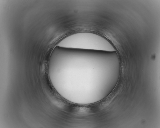 X0000091060165200708061008