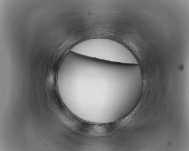 X0000091060166200708061008