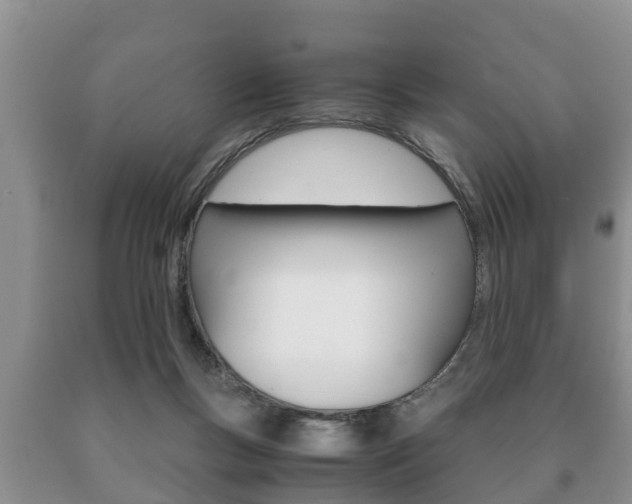 X0000091060167200708061008