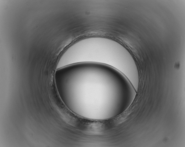 X0000091060168200708061008