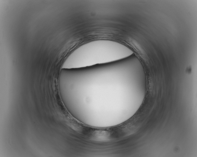 X0000091060169200708061008