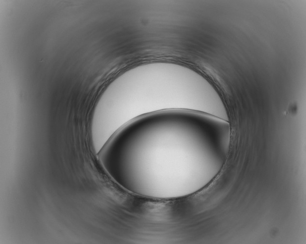 X0000091060170200708061008