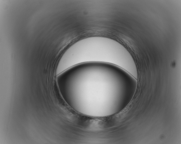 X0000091060172200708061008