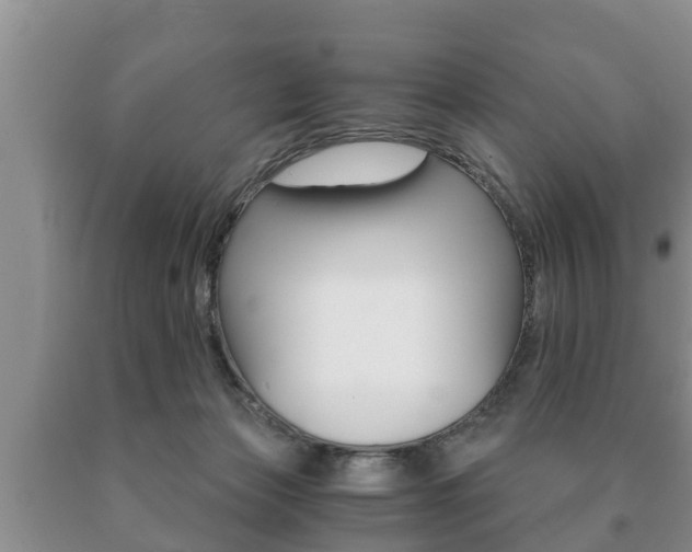X0000091060173200708061008