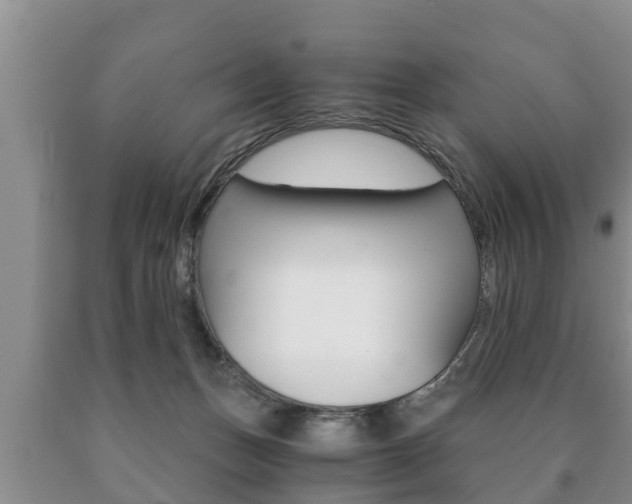X0000091060175200708061008