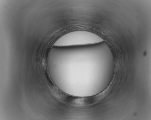 X0000091060178200708061008