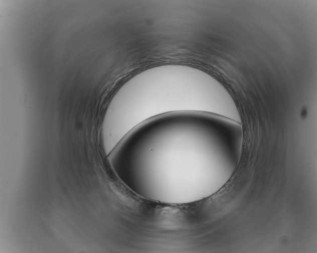 X0000091060180200708061008