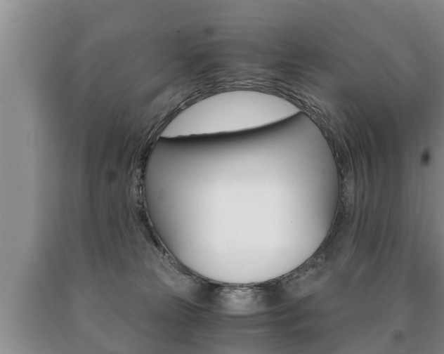 X0000091060181200708061008