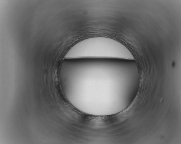 X0000091060182200708061008