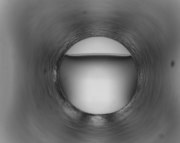X0000091060183200708061008