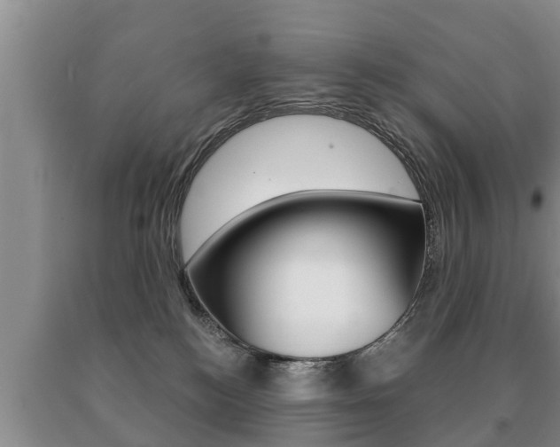 X0000091060184200708061008