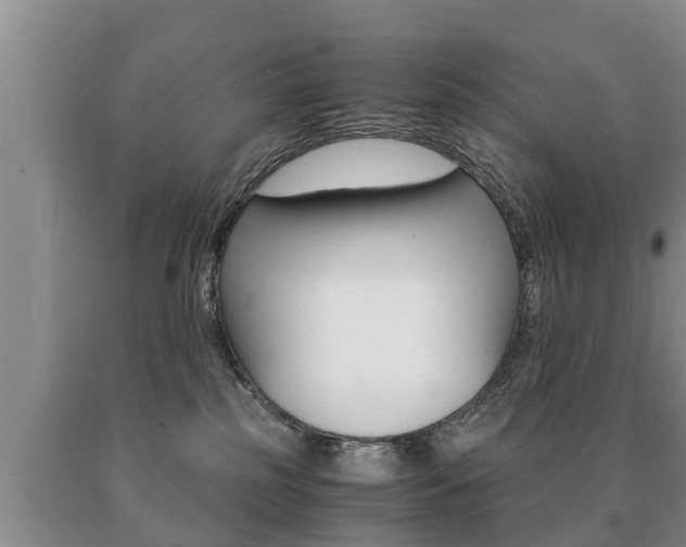 X0000091060185200708061008