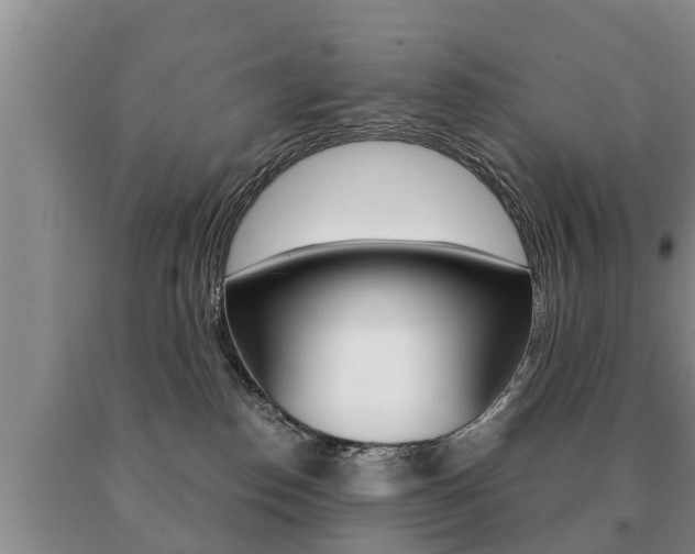 X0000091060186200708061008