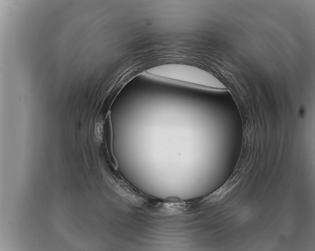 X0000091060188200708061008