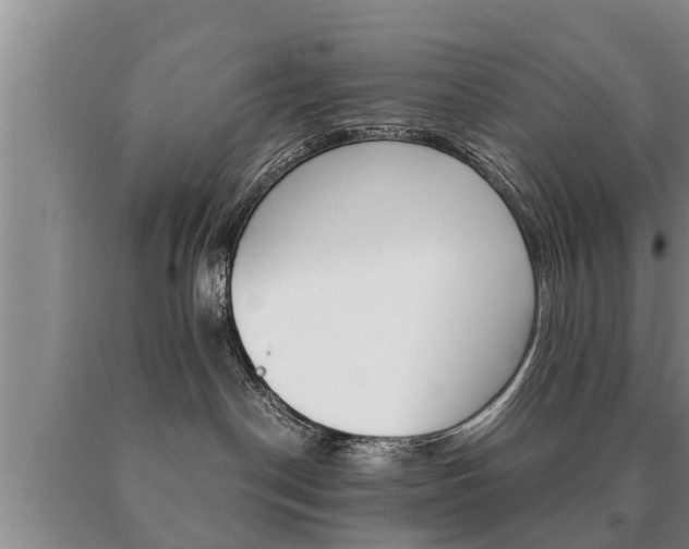 X0000091060190200708061008