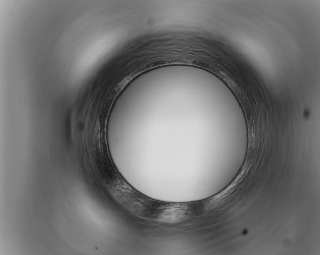 X0000091060191200708061008