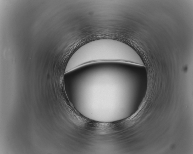 X0000091060192200708061008