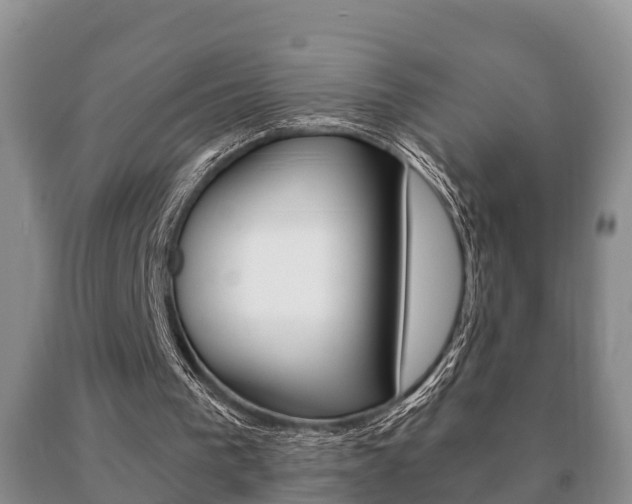 X0000091060193200708061008