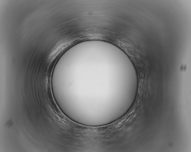X0000091060194200708061008