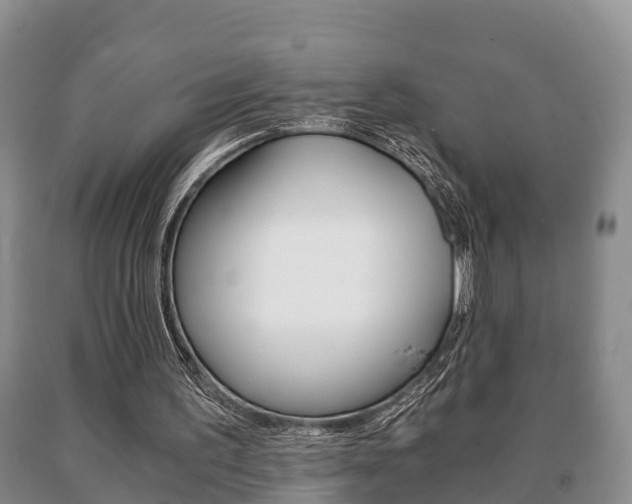 X0000091060195200708061008