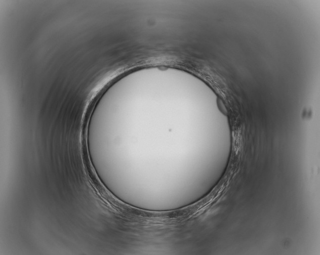 X0000091060196200708061008