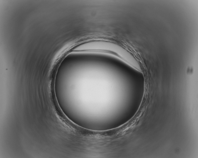 X0000091060197200708061008