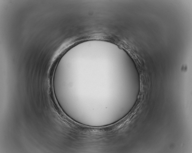 X0000091060198200708061008