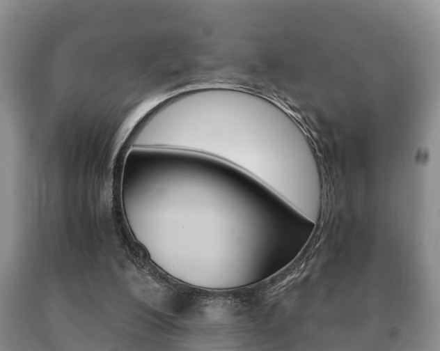 X0000091060200200708061008