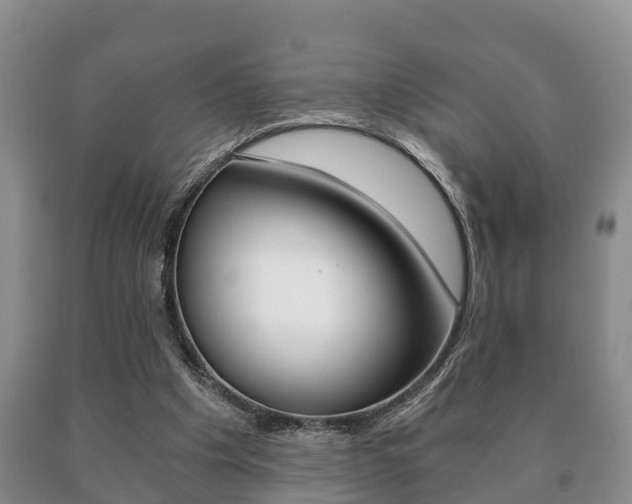 X0000091060201200708061008