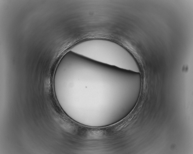 X0000091060202200708061008