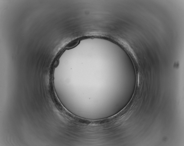 X0000091060204200708061008