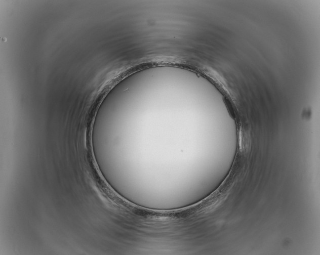 X0000091060205200708061008