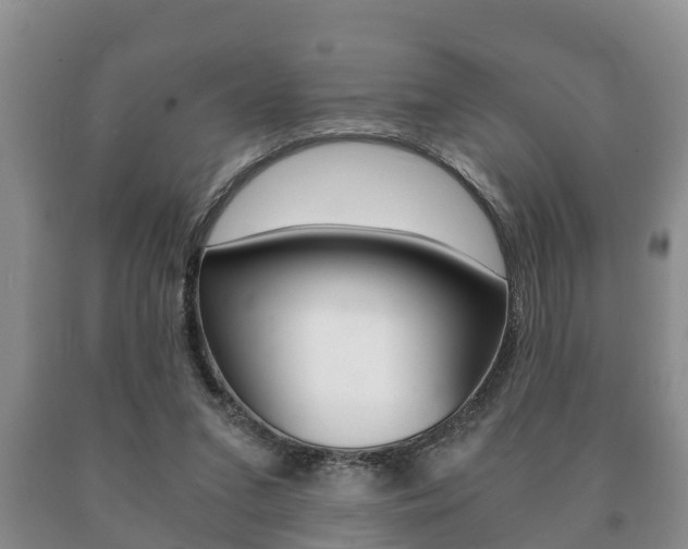 X0000091060207200708061008