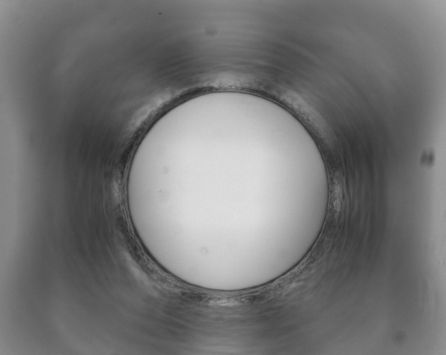 X0000091060208200708061008