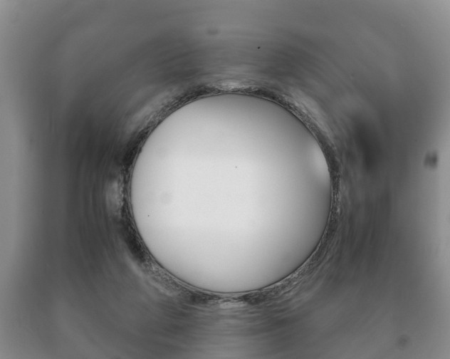 X0000091060210200708061008