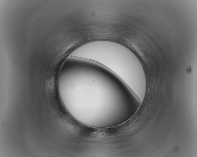 X0000091060211200708061008