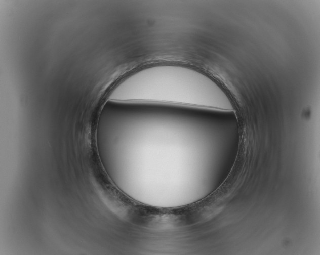 X0000091060212200708061008