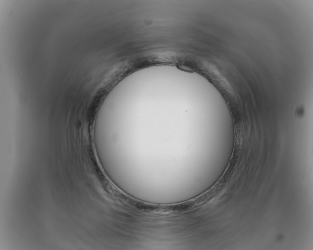 X0000091060213200708061007