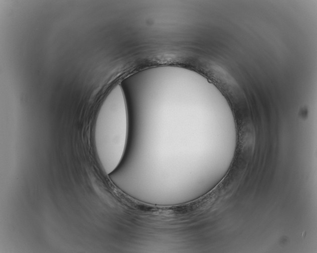 X0000091060214200708061007