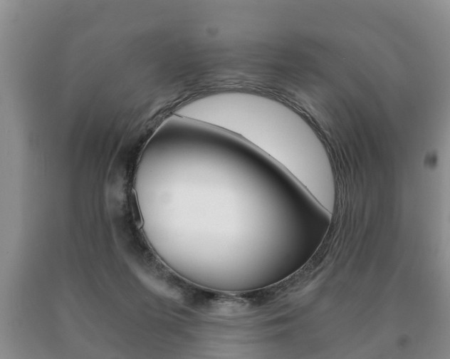 X0000091060215200708061007