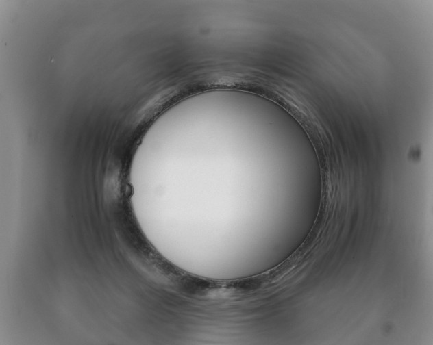 X0000091060216200708061007
