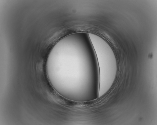 X0000091060217200708061007