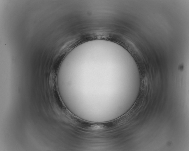 X0000091060218200708061007
