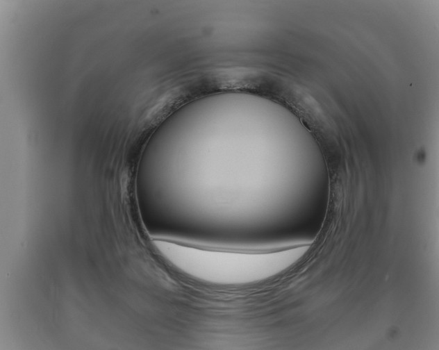X0000091060219200708061007