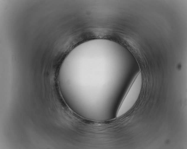 X0000091060221200708061007